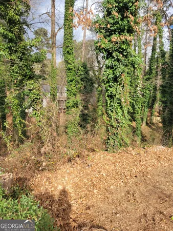 a view of a yard with plants and trees