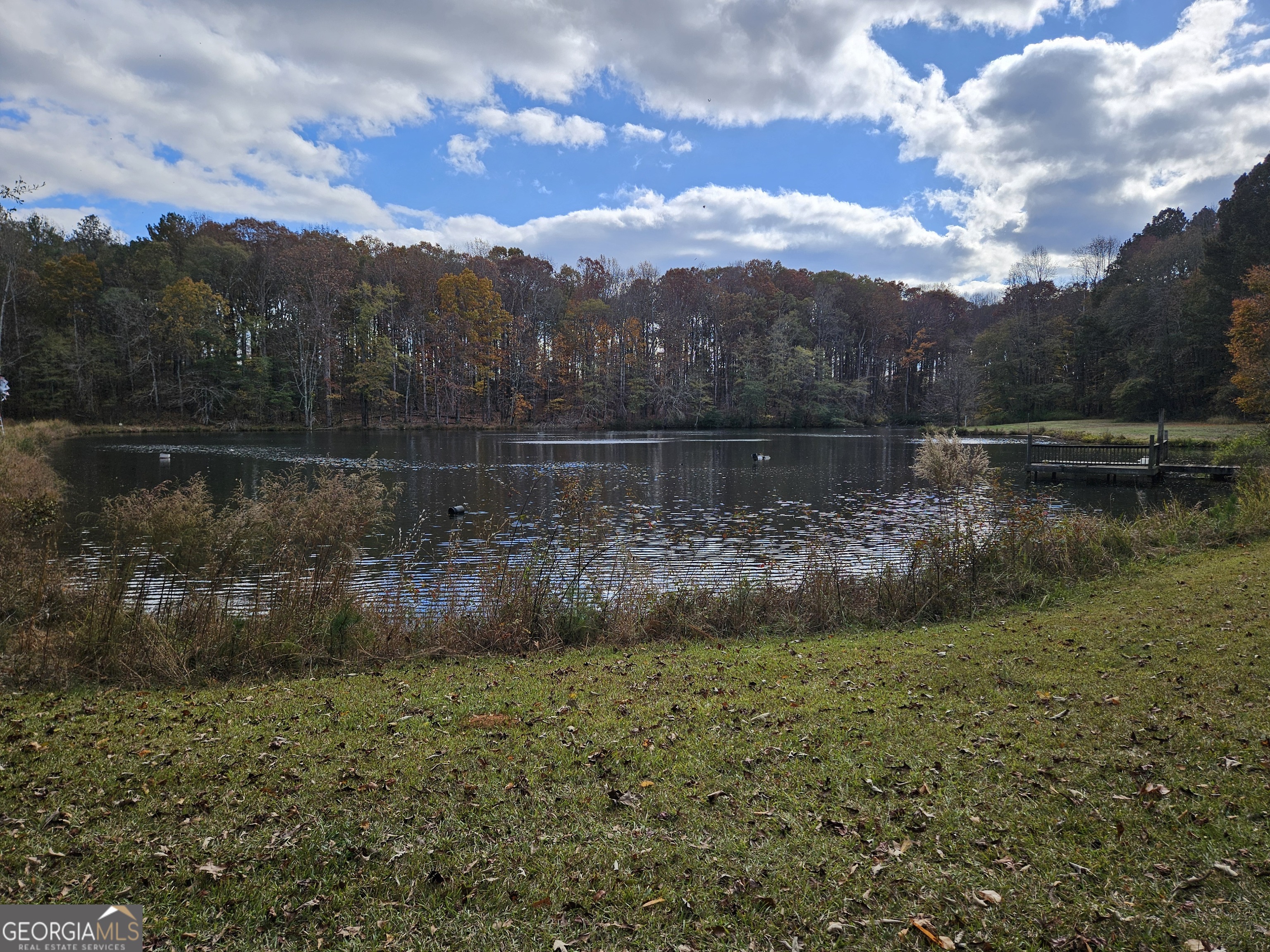 6 Bradley Gin Road Monroe, GA 30656 - Photo 11 of 14 a view of a lake in middle of the forest