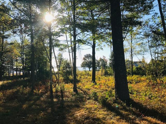 1329 Newbury Neck Road Surry, ME 04684 - Photo 3 of 35 Water view from front yard.
