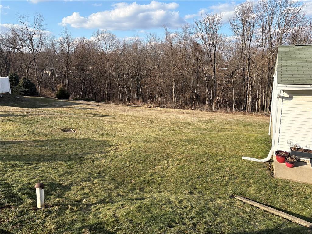 800 Tuscarawas Road Beaver, PA 15009 - Photo 21 of 26 a view of a yard with an trees