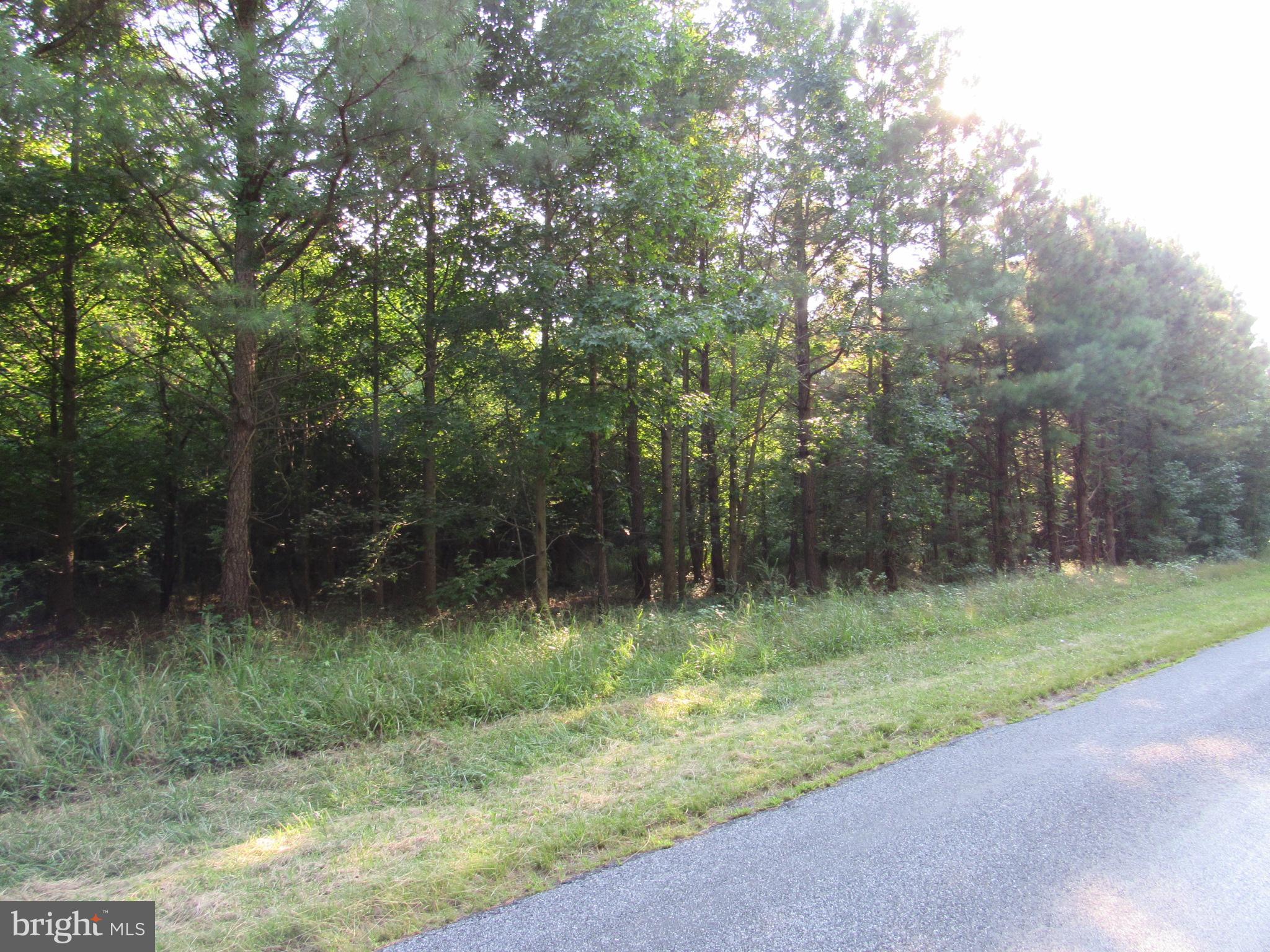 Asketum Branch Road Georgetown, DE 19947 - Photo 5 of 7 Gallery Image 5