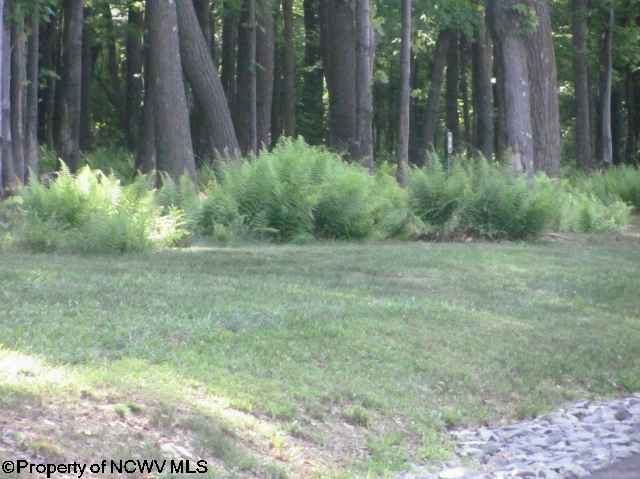 109 Laurelview Road Morgantown, WV 26508 - Photo 4 of 19 Gallery Image 4