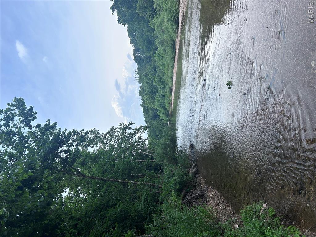 68 Dillard Mill Road Davisville, MO 65456 - Photo 6 of 64