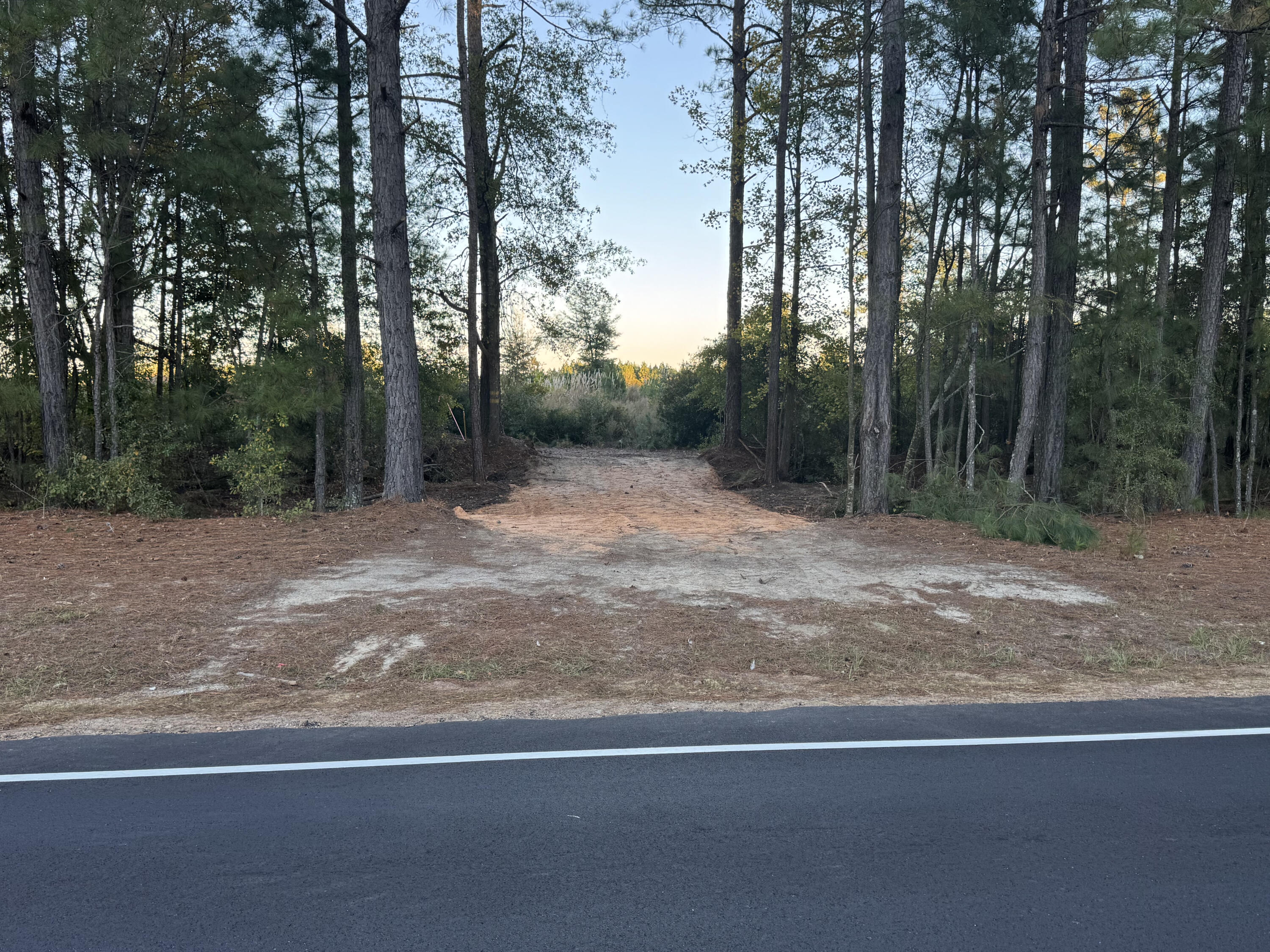 4 Festival Trail Springfield, SC 29146 - Photo 4 of 10