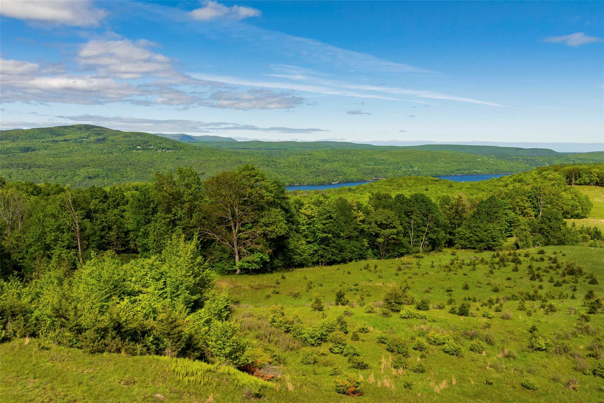 19 Red Rock Road Wawarsing, NY 12489 - Photo 2 of 14 a view of a garden with an outdoor space