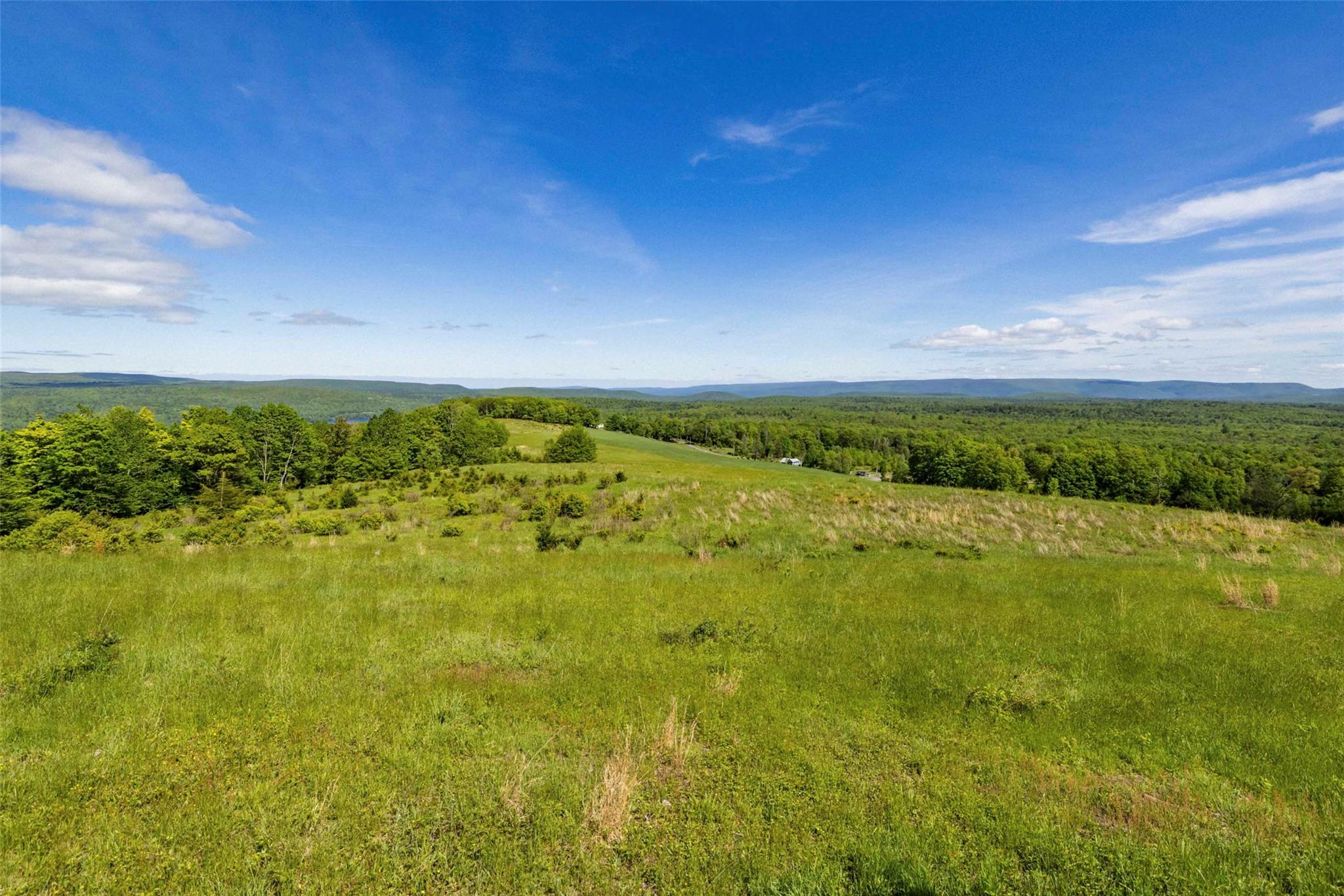 19 Red Rock Road Wawarsing, NY 12489 - Photo 6 of 14 a view of yard with green space