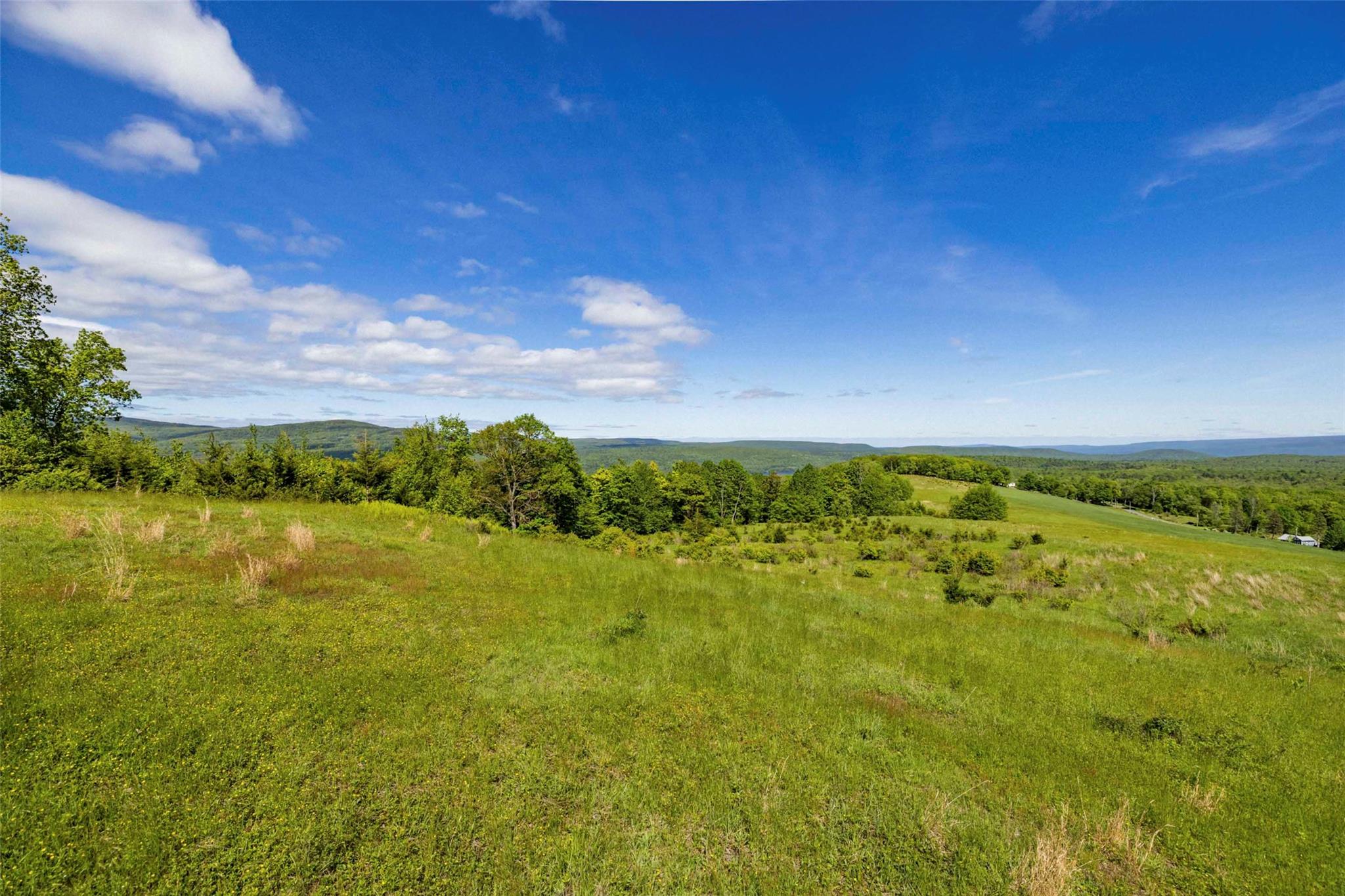 19 Red Rock Road Wawarsing, NY 12489 - Photo 7 of 14 a view of an ocean from a yard