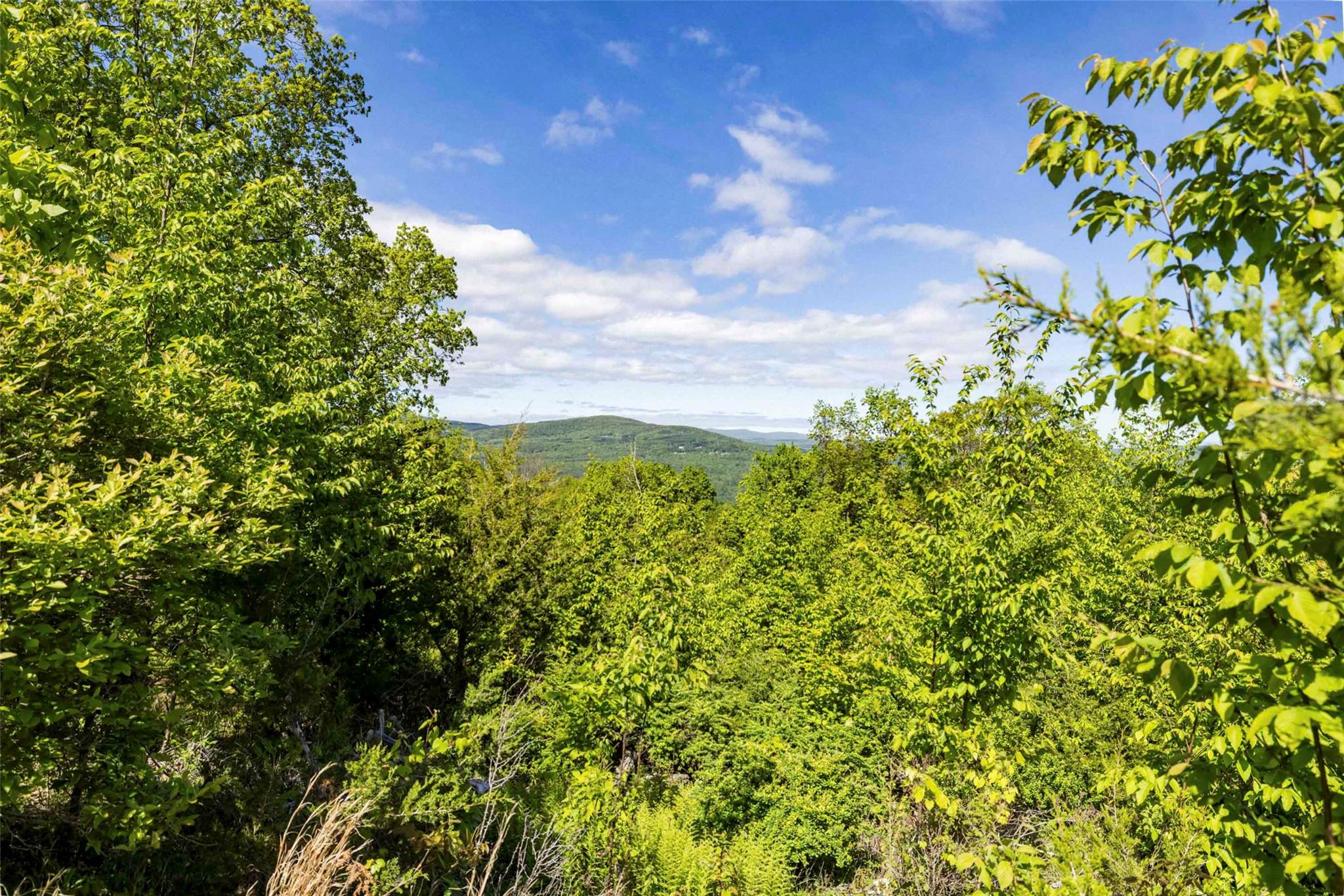 19 Red Rock Road Wawarsing, NY 12489 - Photo 9 of 14 a view of a garden