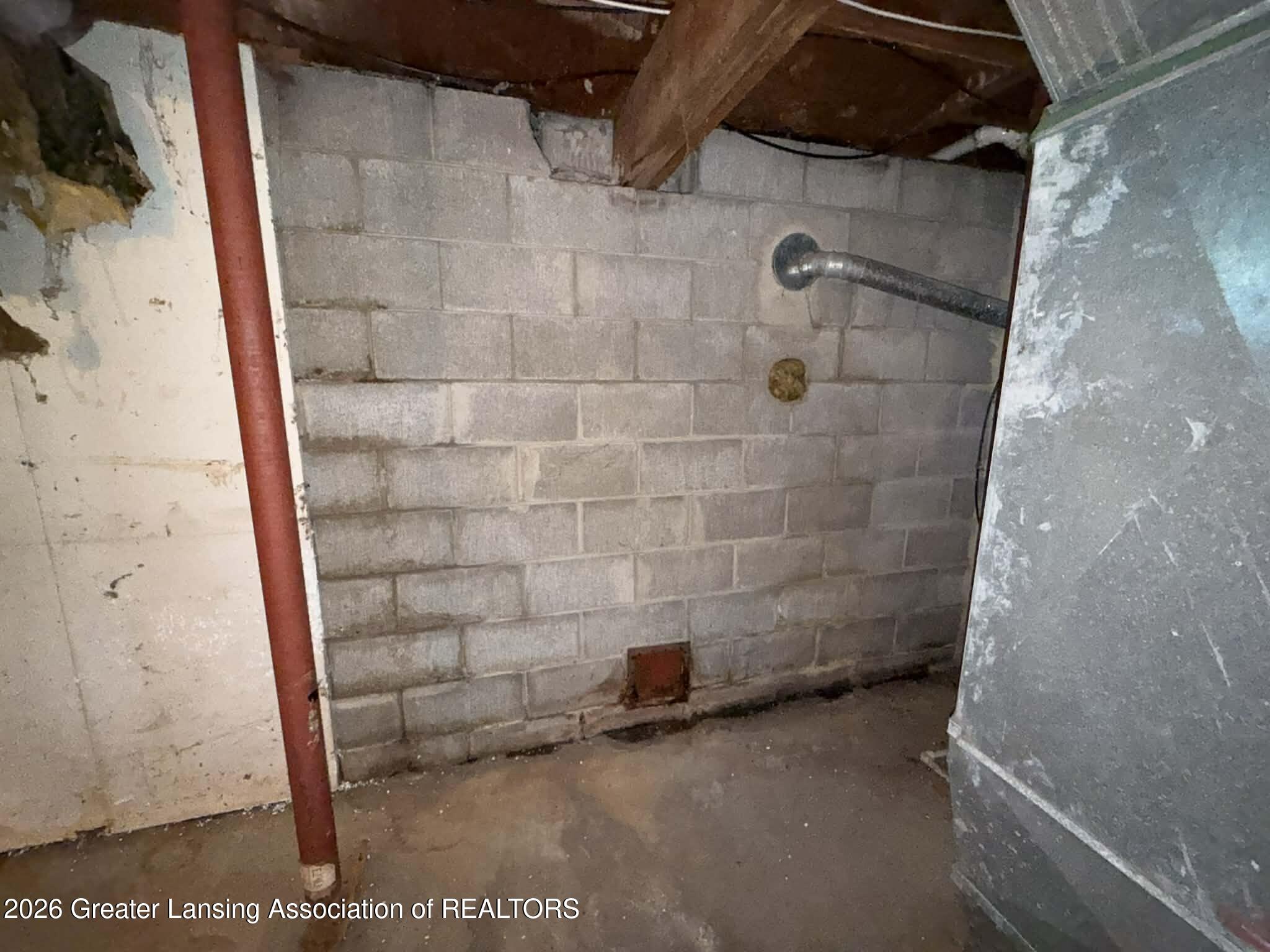 6464 McCue Road Holt, MI 48842 - Photo 11 of 23 Basement