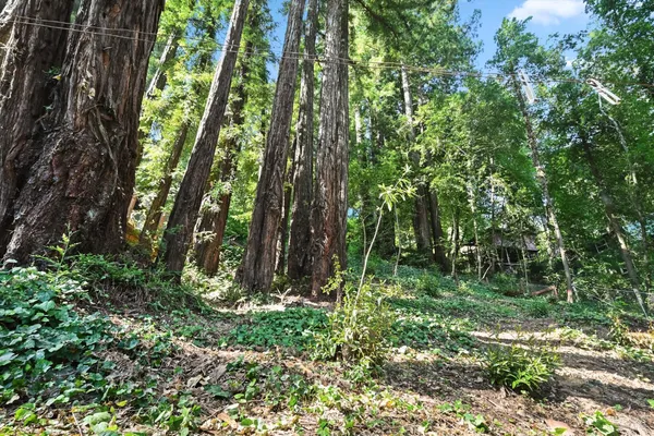 $450,000 | 10293 Field Lane, Forestville, CA 95436