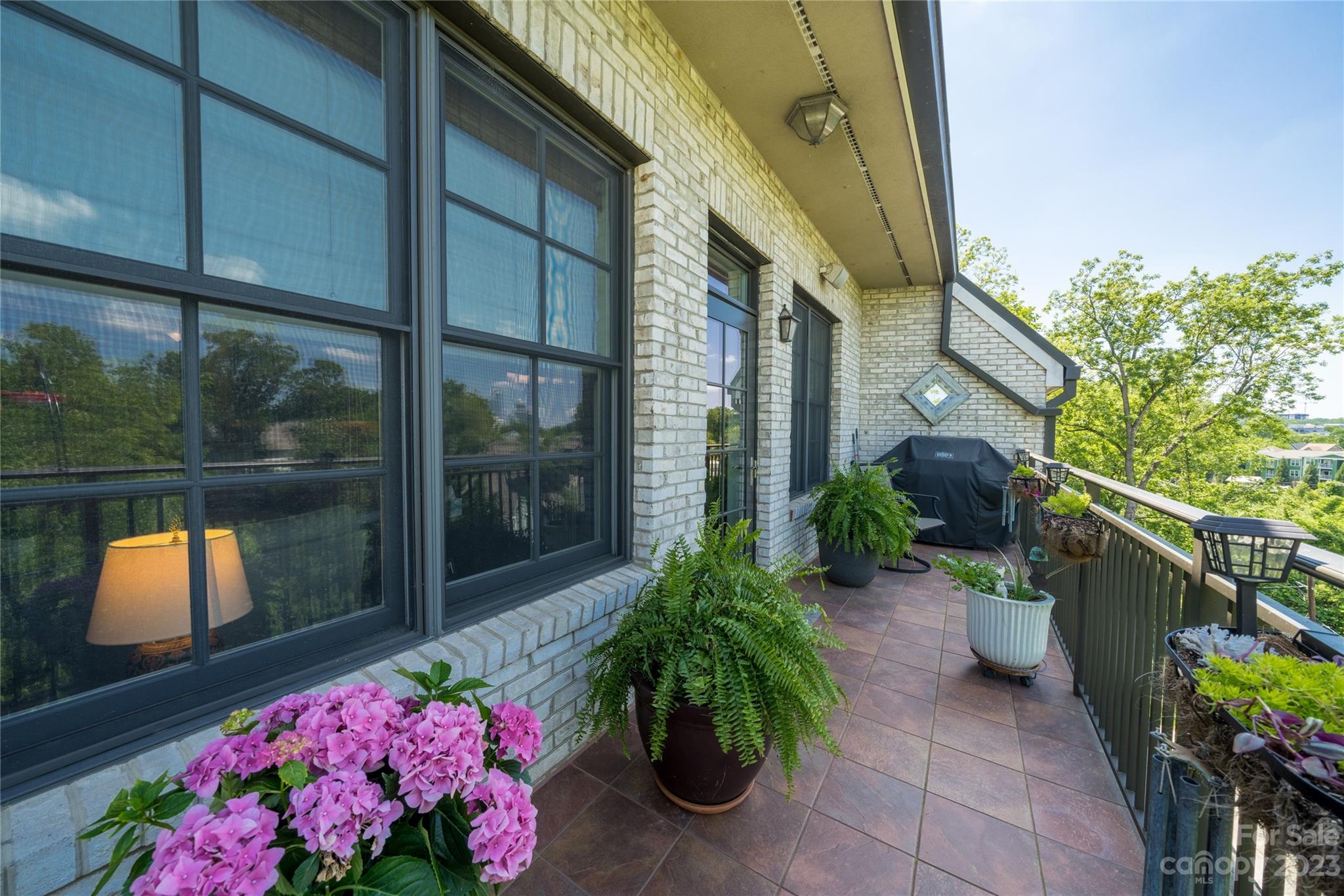 626 Queens Road, Unit 303 Charlotte, NC 28207 - Photo 27 of 41 a garden view with a potted plant