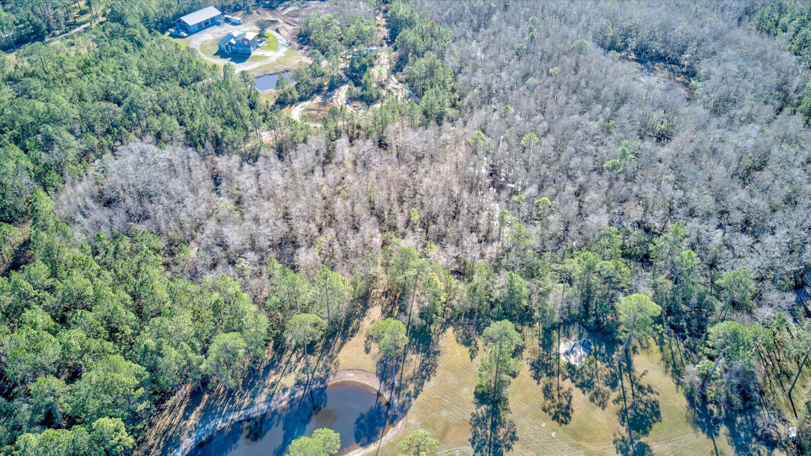 0 Rodeo Acres Drive Ormond Beach, FL 32174 - Photo 10 of 20 a view of a lake with a tree