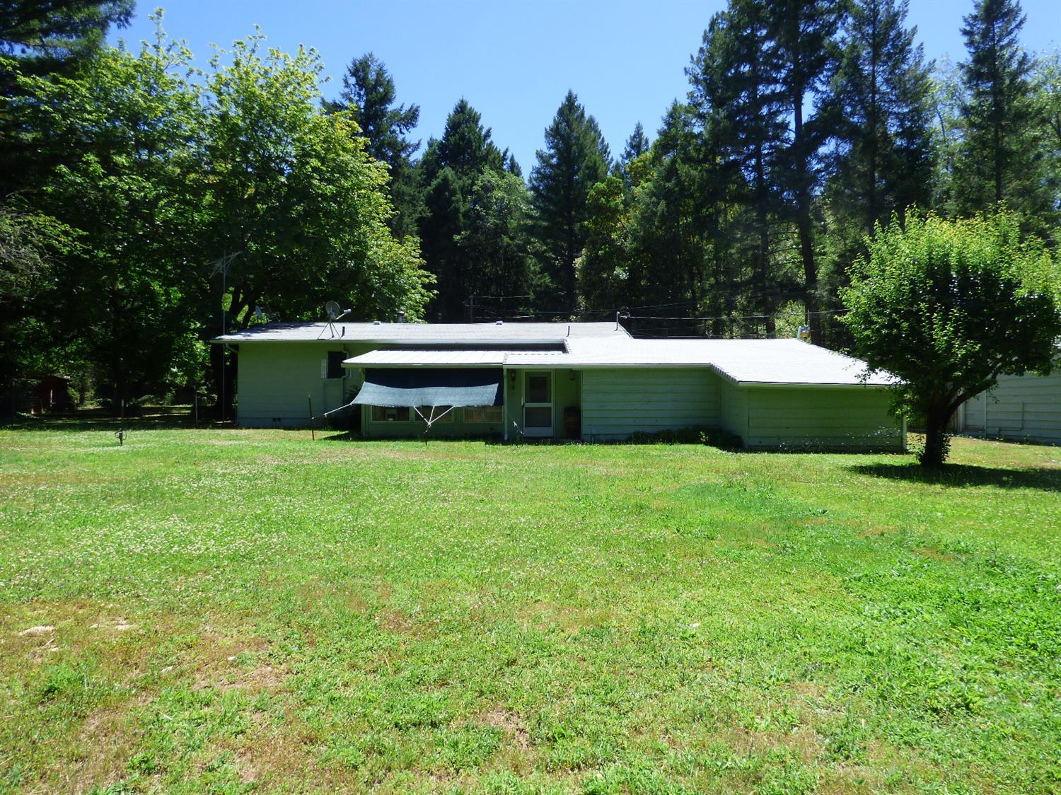 680 Hays Cut Off Road Cave Junction, OR 97523 - Photo 27 of 28 Back side of main home - grass is all wa