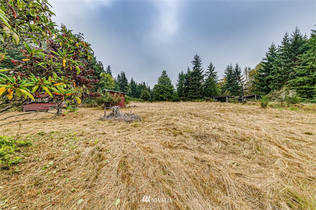 307 Mt Pleasant Road Port Angeles, WA 98362 - Photo 33 of 39 Gallery Image 33