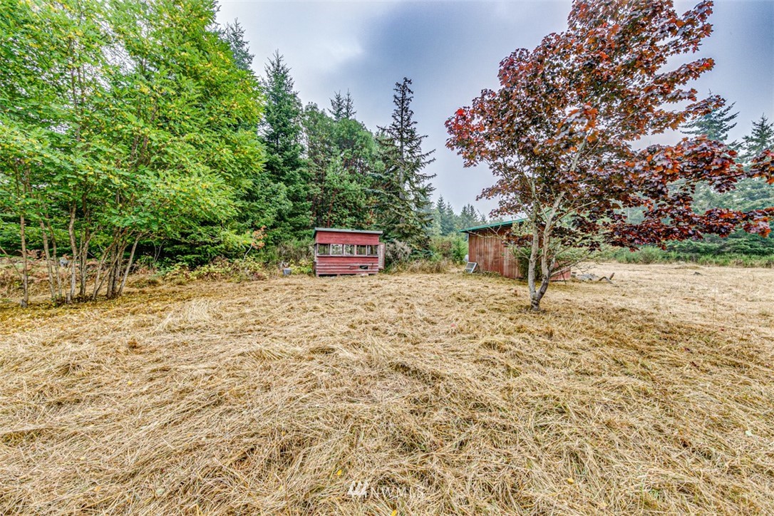 307 Mt Pleasant Road Port Angeles, WA 98362 - Photo 34 of 39 Gallery Image 34