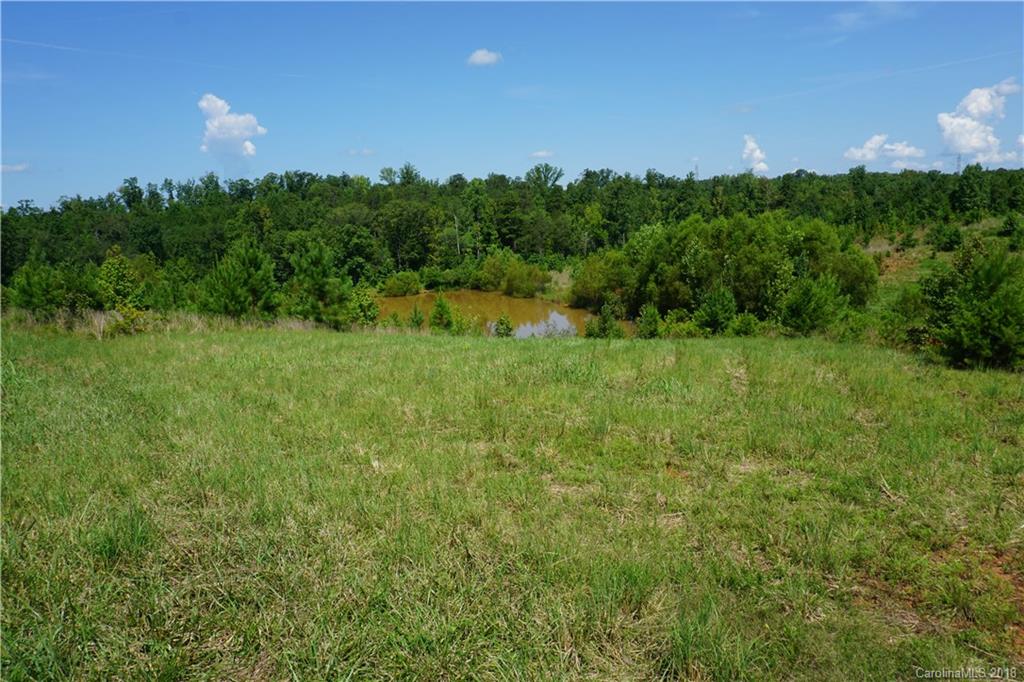 20-ac Mission Road York, SC 29745 - Photo 12 of 28 a view of a field of grass and trees