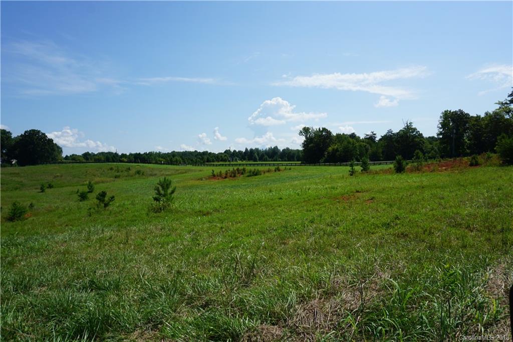 20-ac Mission Road York, SC 29745 - Photo 13 of 28 a view of a big yard with a large trees