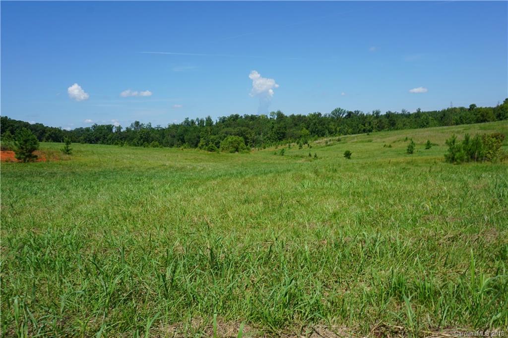 20-ac Mission Road York, SC 29745 - Photo 16 of 28 a view of a green field with lots of bushes