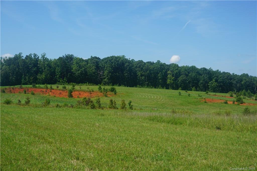 20-ac Mission Road York, SC 29745 - Photo 19 of 28 a view of a field with grass and trees