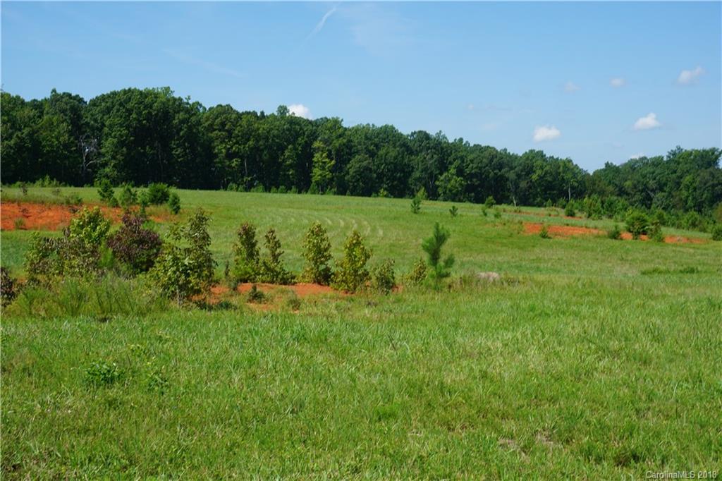 20-ac Mission Road York, SC 29745 - Photo 20 of 28 a view of a garden with trees in the background