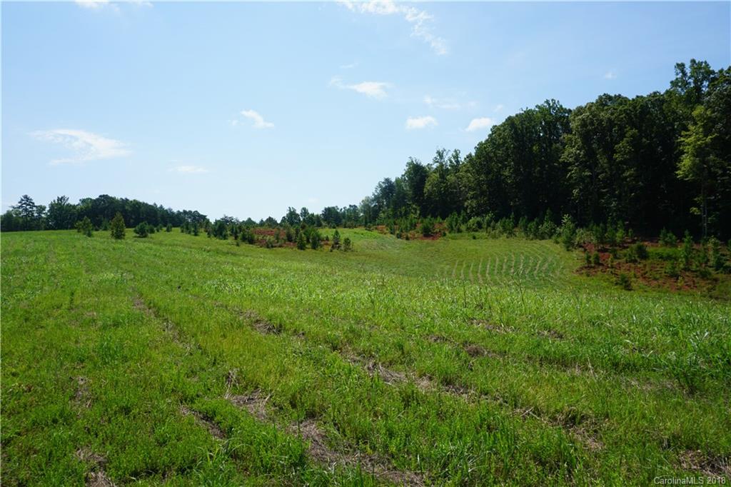 20-ac Mission Road York, SC 29745 - Photo 3 of 28 a view of an outdoor space and yard