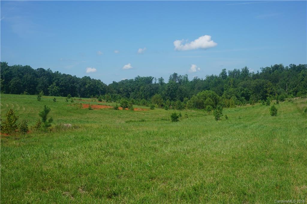 20-ac Mission Road York, SC 29745 - Photo 21 of 28 a view of a green field with trees in the background