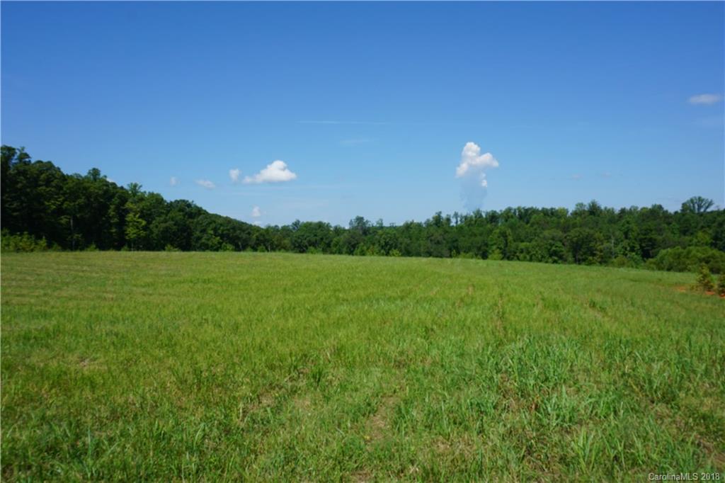 20-ac Mission Road York, SC 29745 - Photo 23 of 28 a view of a big yard with a large tree and a yard