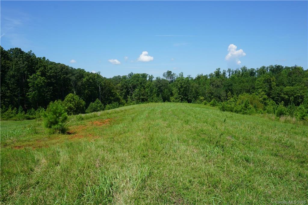 20-ac Mission Road York, SC 29745 - Photo 27 of 28 a view of a green field