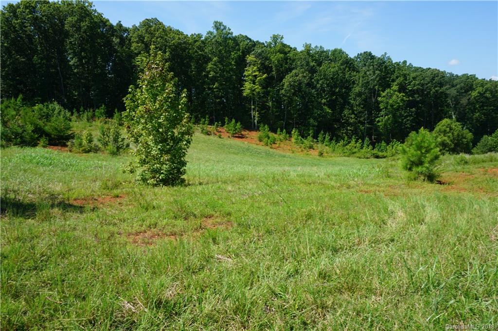 20-ac Mission Road York, SC 29745 - Photo 28 of 28 a view of outdoor space and yard
