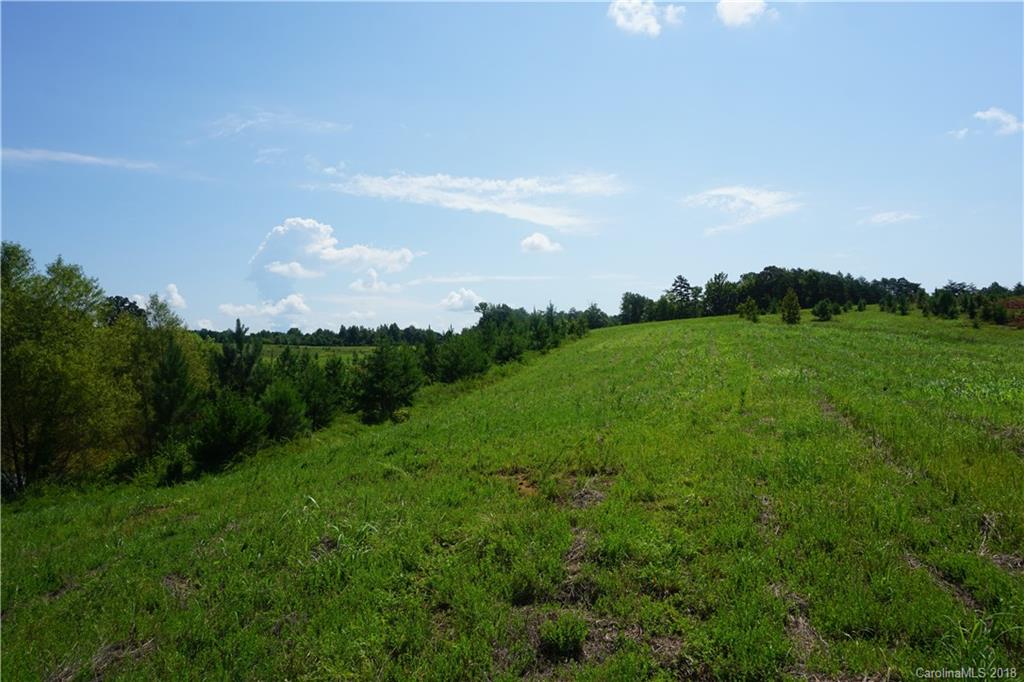 20-ac Mission Road York, SC 29745 - Photo 4 of 28 a view of a big yard with a large tree and plants