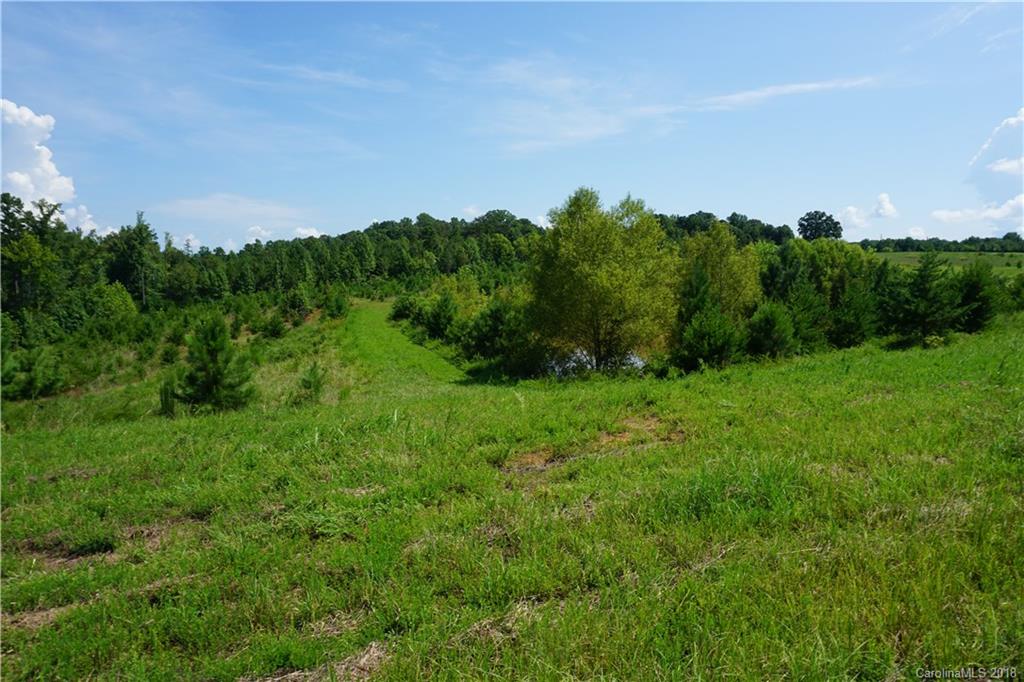 20-ac Mission Road York, SC 29745 - Photo 5 of 28 a view of a big yard with a large tree and plants