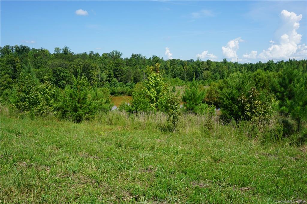 20-ac Mission Road York, SC 29745 - Photo 8 of 28 a view of a lake and green space