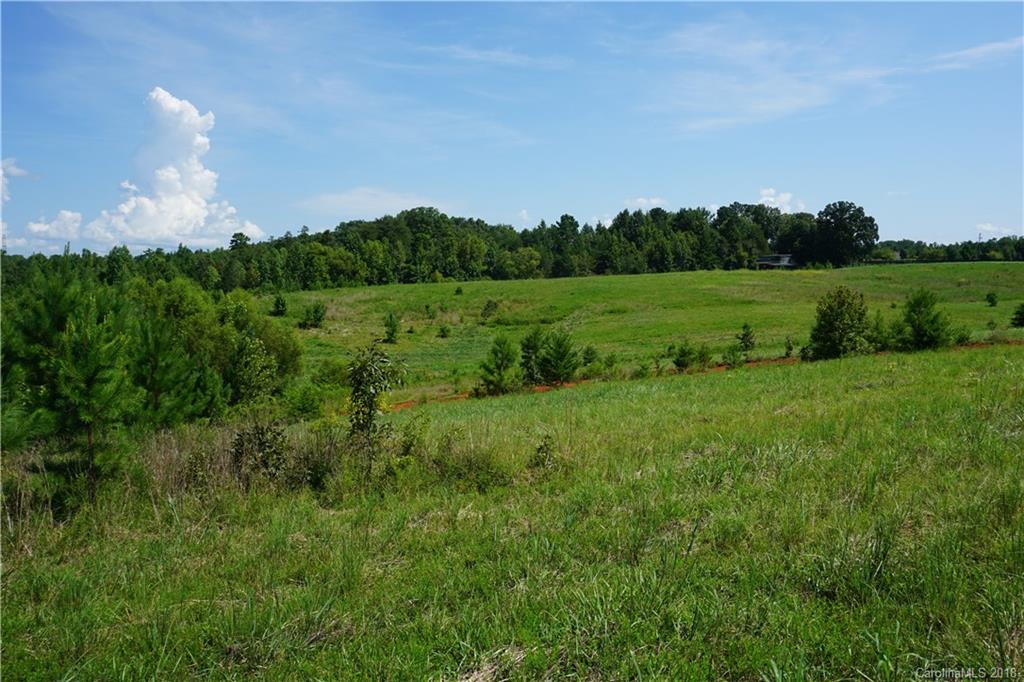 20-ac Mission Road York, SC 29745 - Photo 10 of 28 a view of a green field with lots of green space in it