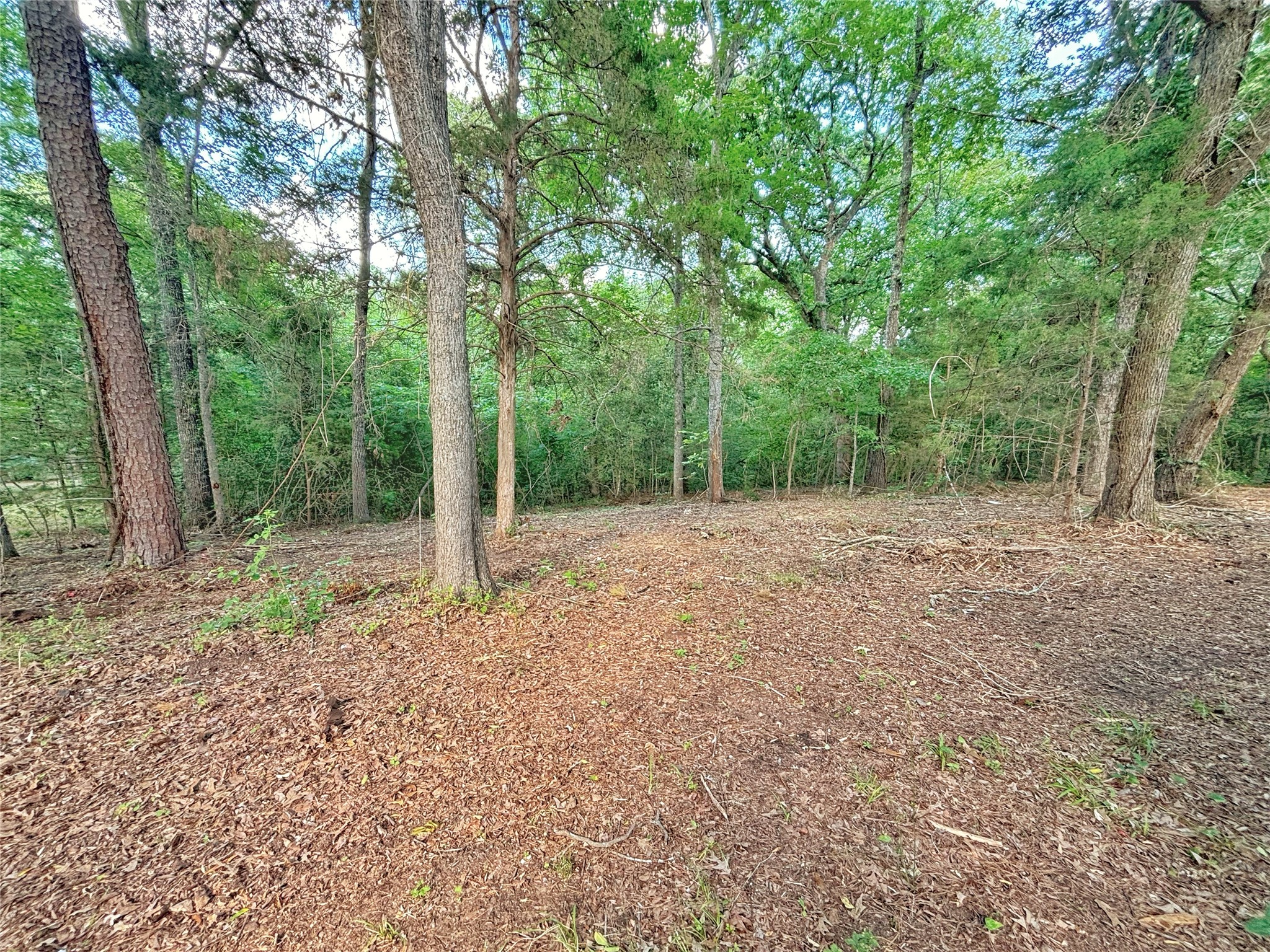 390 County Road 1701 Rusk, TX 75785 - Photo 35 of 43