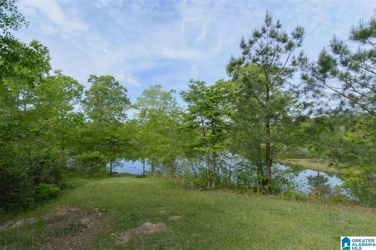 616 Emerald Trace Chelsea, AL 35043 - Photo 49 of 49
