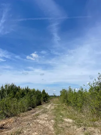 $195,000 | Tbd 30-ac Rocky Ford Road, Salters, SC 29590