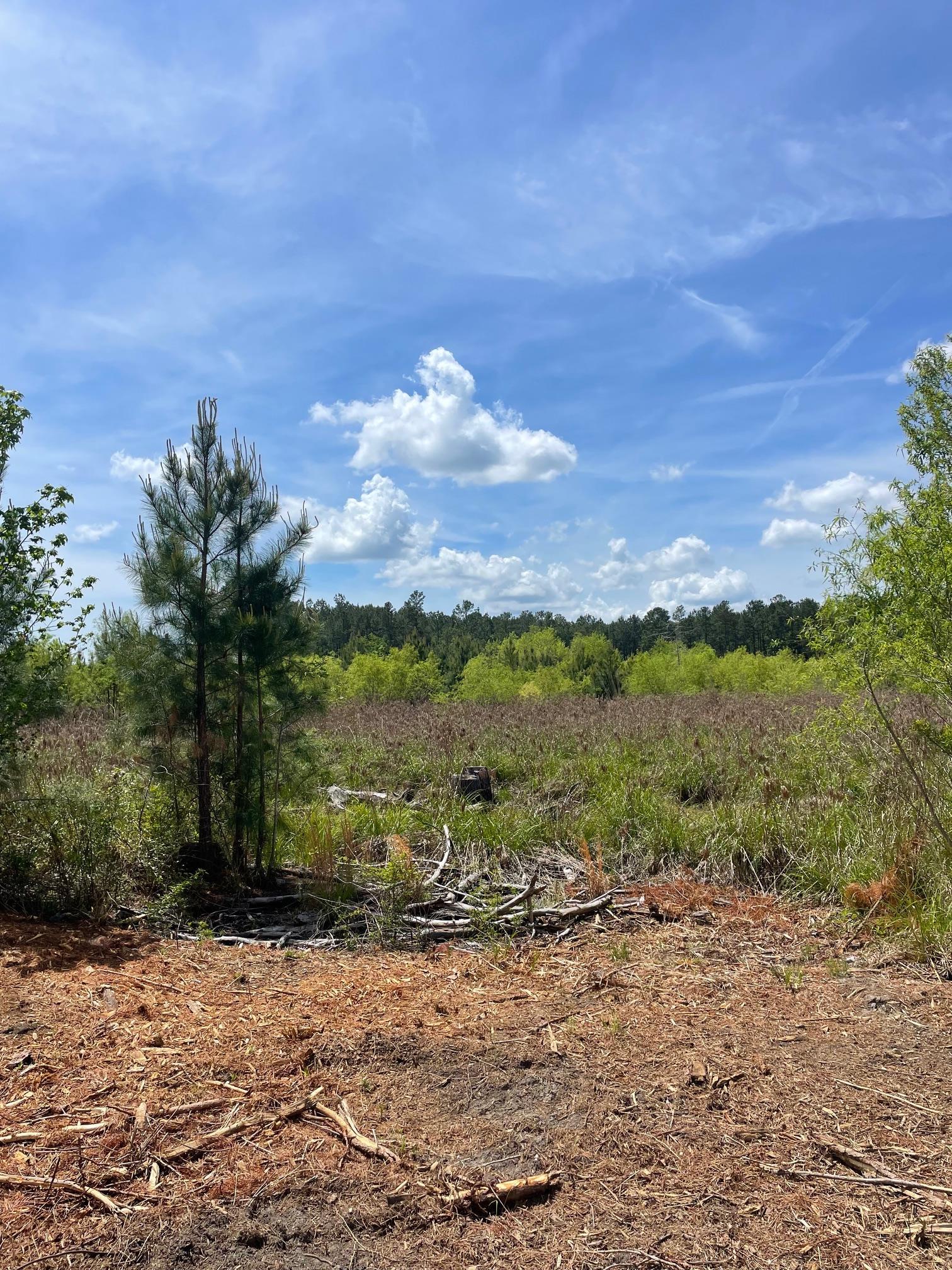Tbd 30-ac Rocky Ford Road Salters, SC 29590 - Photo 2 of 10