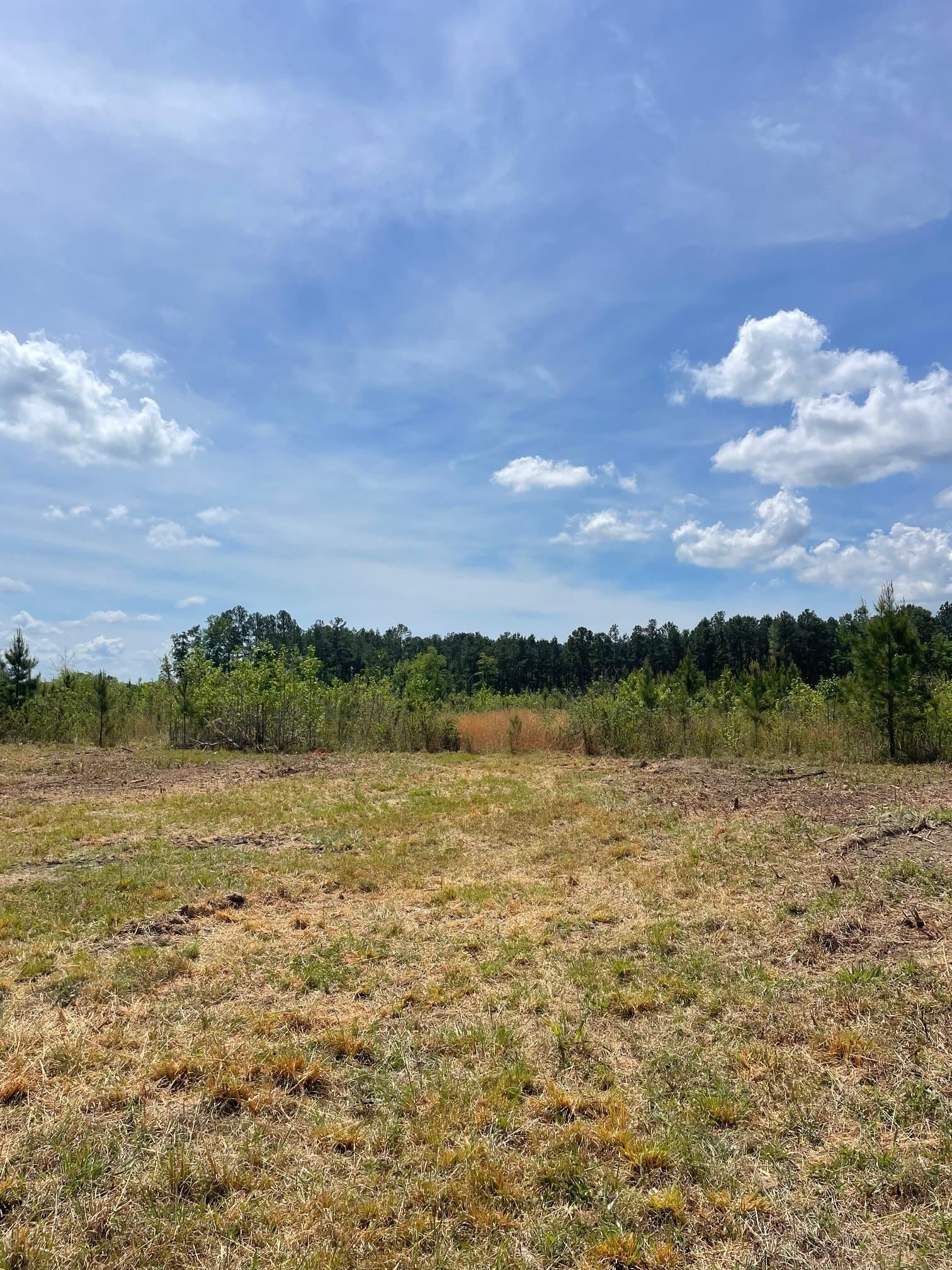Tbd 30-ac Rocky Ford Road Salters, SC 29590 - Photo 3 of 10