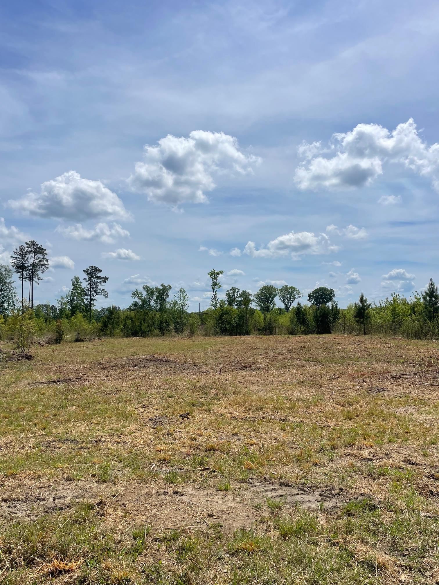 Tbd 30-ac Rocky Ford Road Salters, SC 29590 - Photo 6 of 10