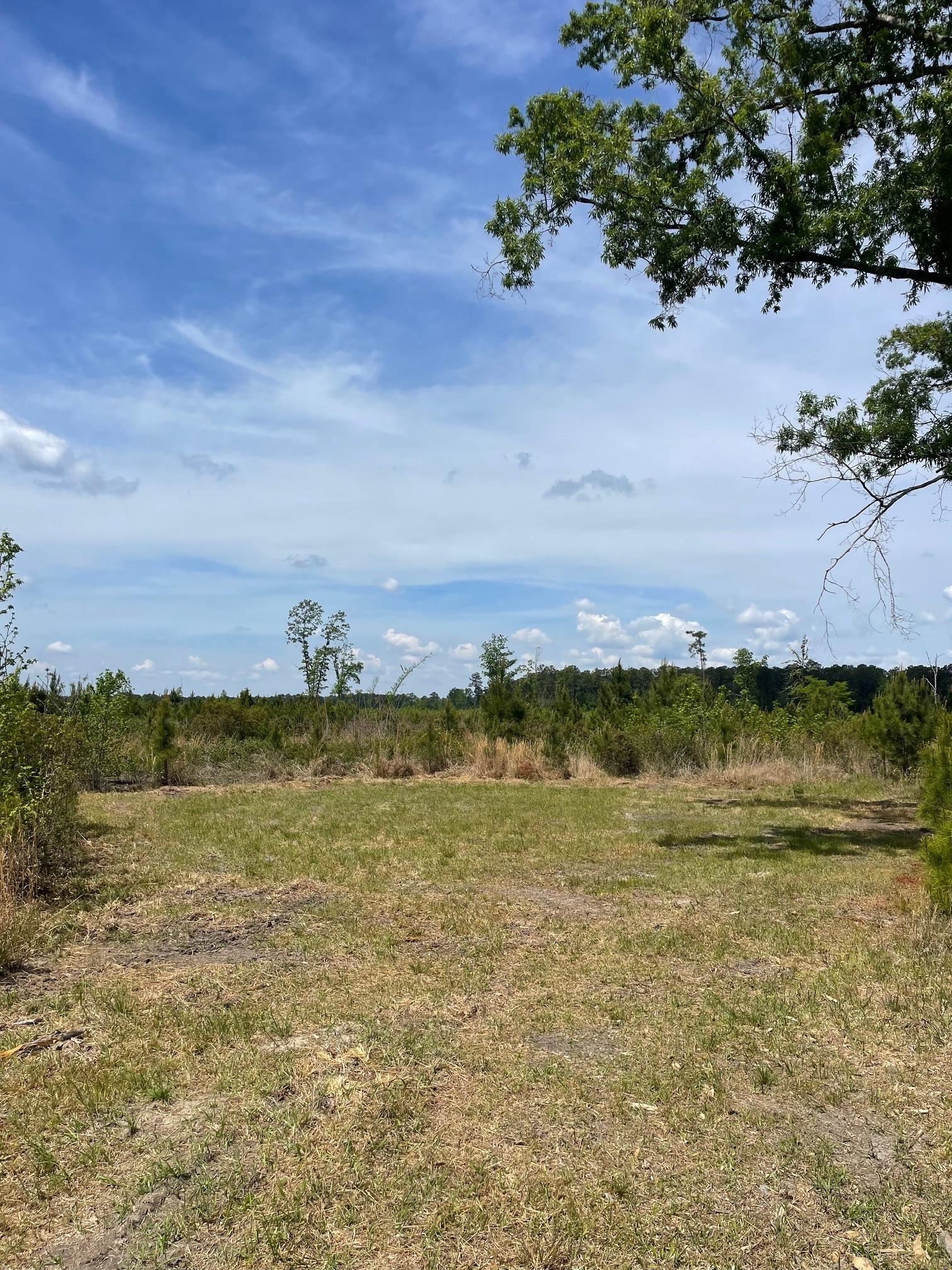 Tbd 30-ac Rocky Ford Road Salters, SC 29590 - Photo 8 of 10