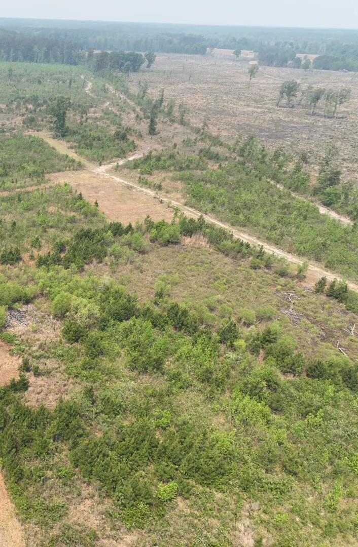 Tbd 30-ac Rocky Ford Road Salters, SC 29590 - Photo 10 of 10