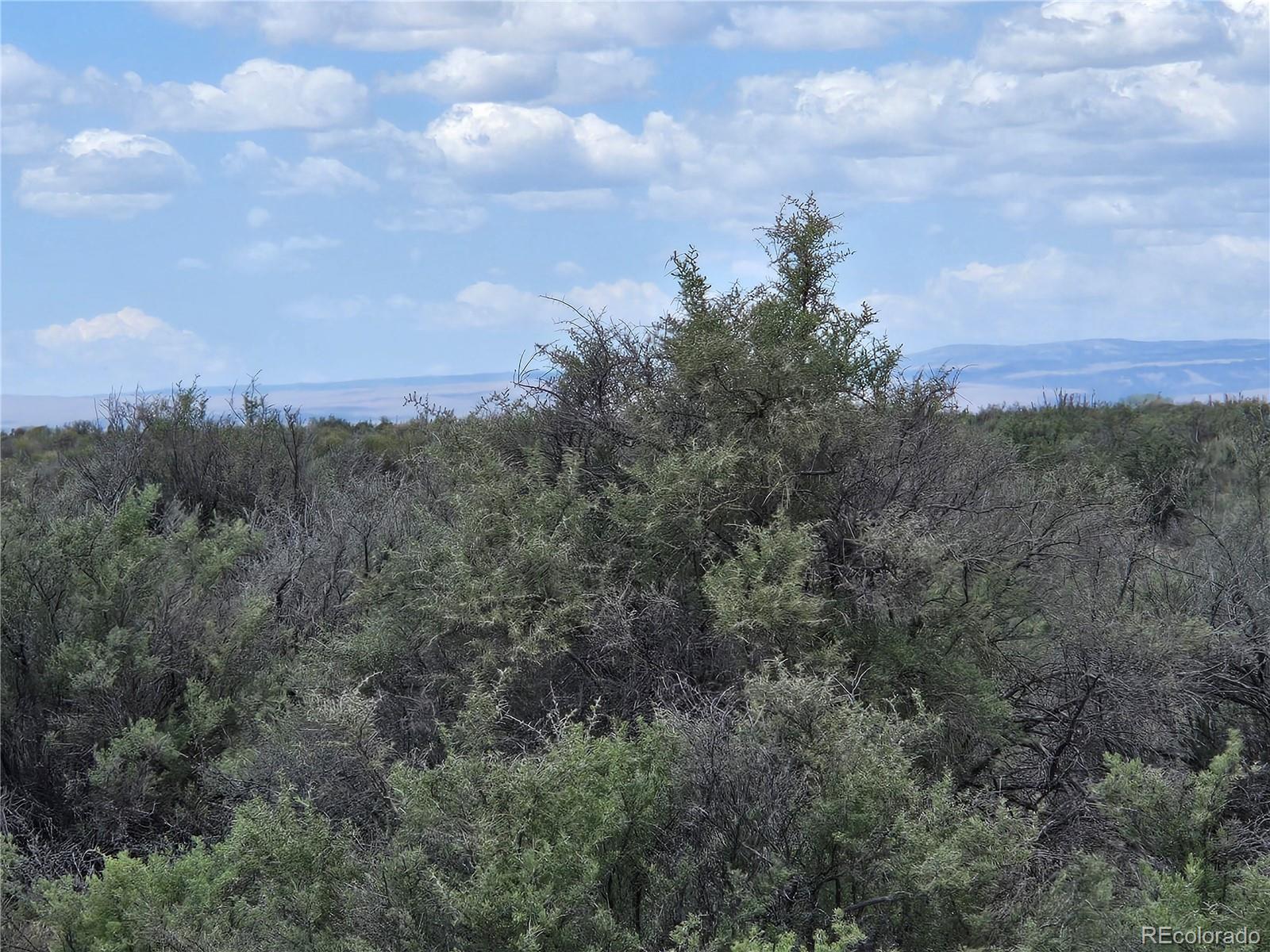 103 South County Road Alamosa, CO 81101 - Photo 16 of 18