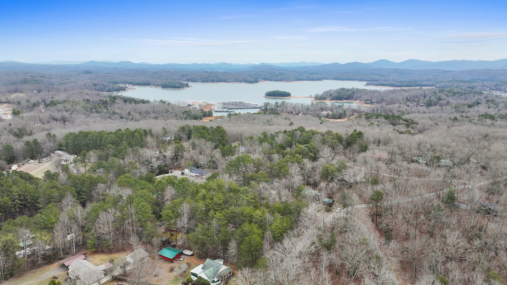 Lot 5 Red Bird Blue Ridge Blue Ridge, GA 30513 - Photo 11 of 16 Gallery Image 11