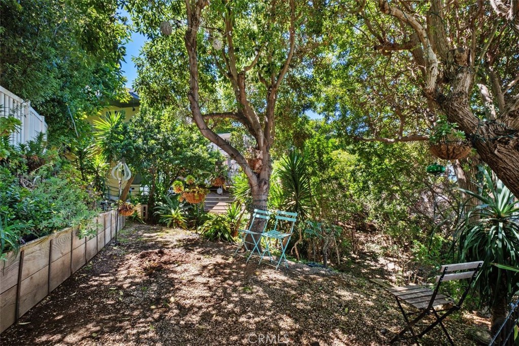 263 Upland Road Laguna Beach, CA 92651 - Photo 48 of 56 Yard