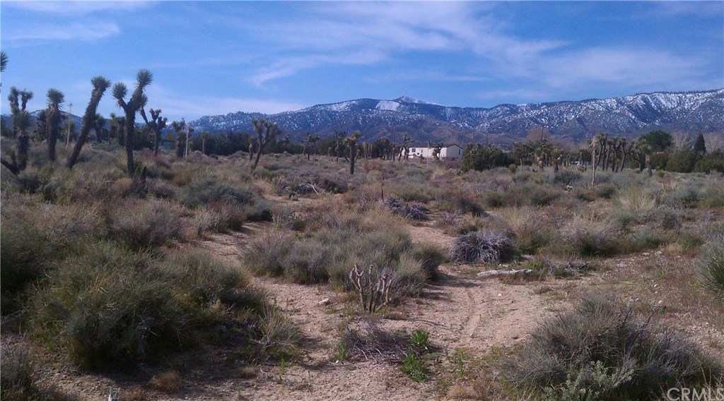 0 Golden View Road Phelan, CA 92371 - Photo 1 of 1