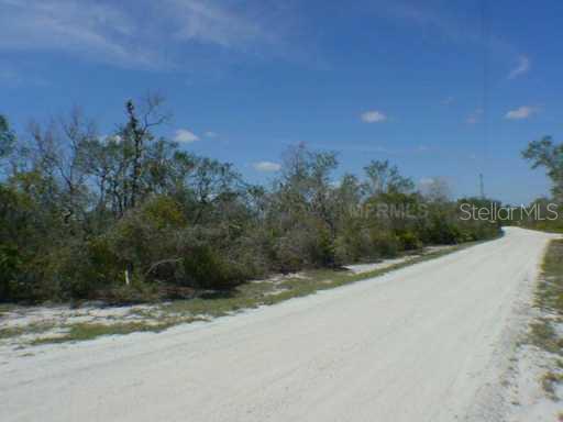 233 R E Byrd Road Frostproof, FL 33843 - Photo 1 of 1 Land