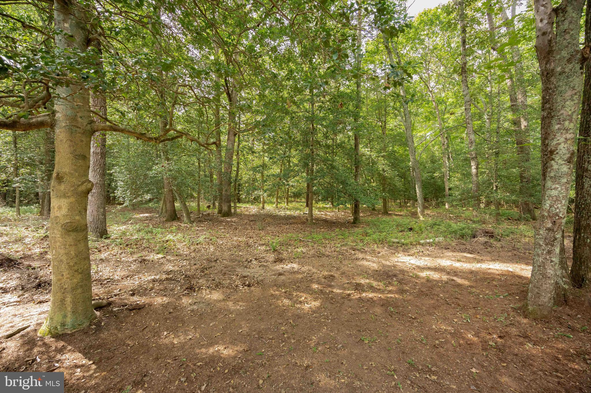 3889 5 Friars Road Salisbury, MD 21804 - Photo 68 of 68