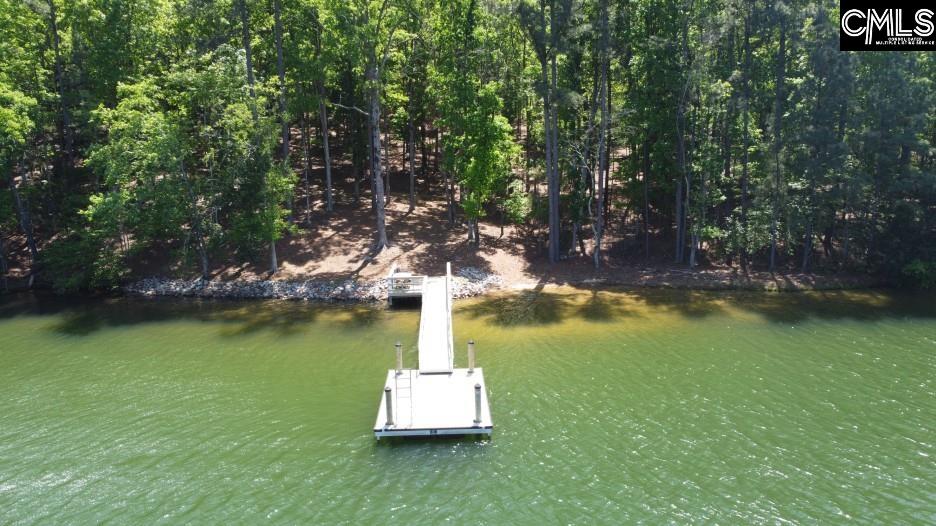 201 State Rd S-20-99 Blair, SC 29015 - Photo 54 of 61