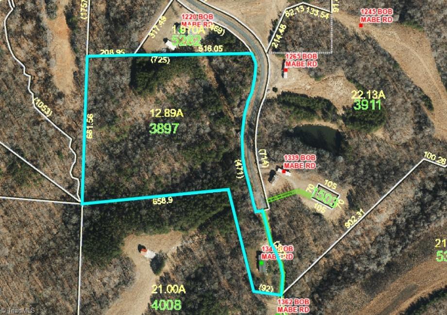 1342 Bob Mabe Road Danbury, NC 27016 - Photo 3 of 21