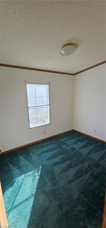 1342 Bob Mabe Road Danbury, NC 27016 - Photo 8 of 21